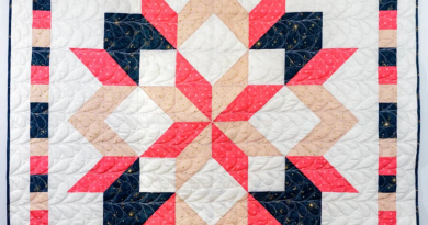 Carpenter Star Quilt with Border: A Classic with a Modern Twist