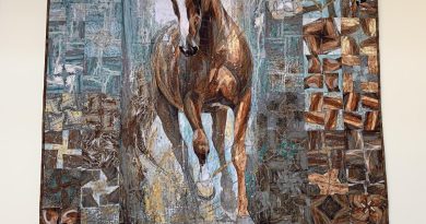Horse Kaleidoscope Quilt – A Masterpiece of Motion, Texture and Precision