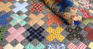 Scrappy Plus Quilt: A Colorful Patchwork Journey