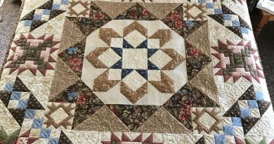 Heritage Star Sampler Quilt